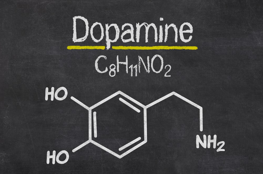 Как дофамин влияет на нашу эффективность